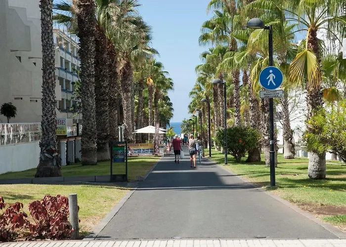 Optimist Americas * Playa de las Americas (Tenerife)