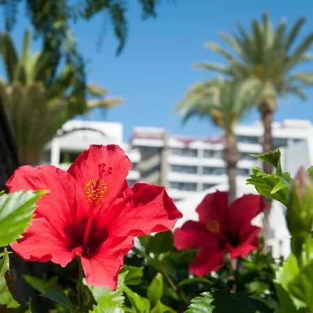 Optimist Americas Appartamento Playa de las Americas (Tenerife)